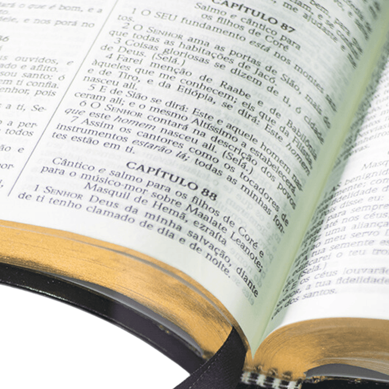 Bíblia ACF Letra Grande - Edição Luxo