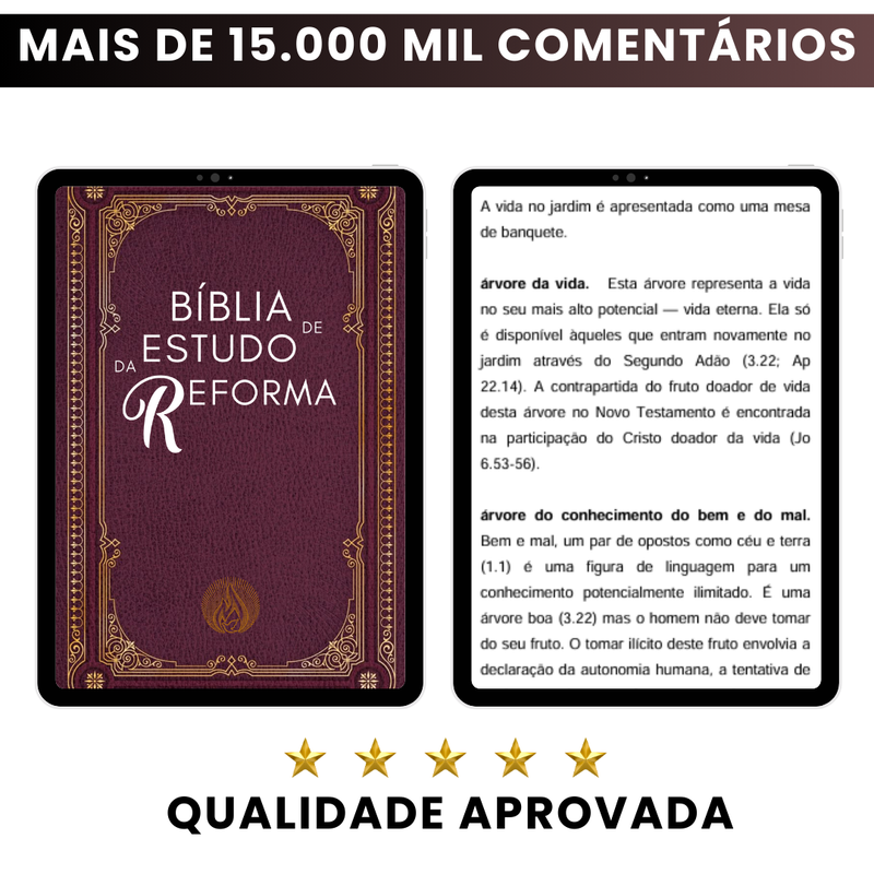 Bíblia de Estudo da Reforma