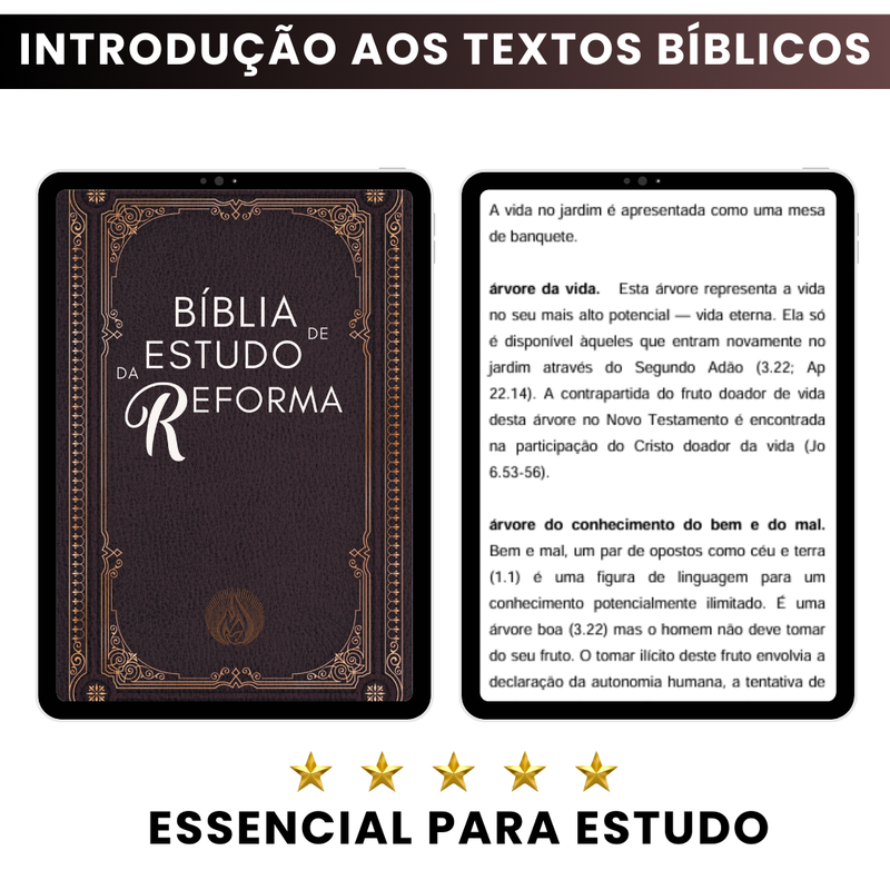 Bíblia de Estudo da Reforma