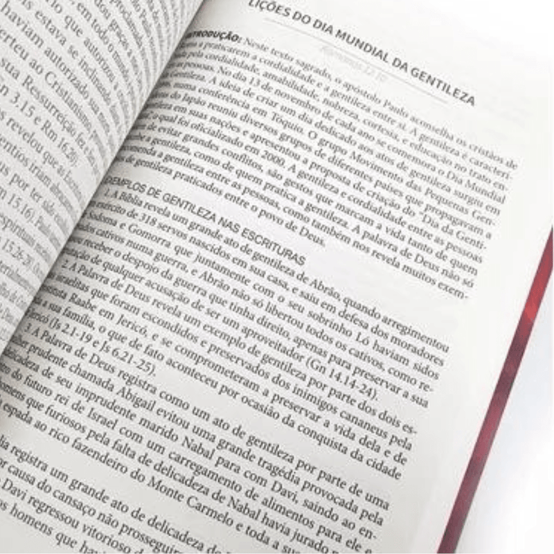 366 Sermões Bíblicos | Pr. Erivaldo de Jesus | Volume 2