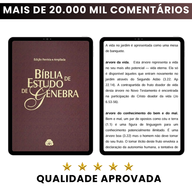 Bíblia de Estudo de Genebra