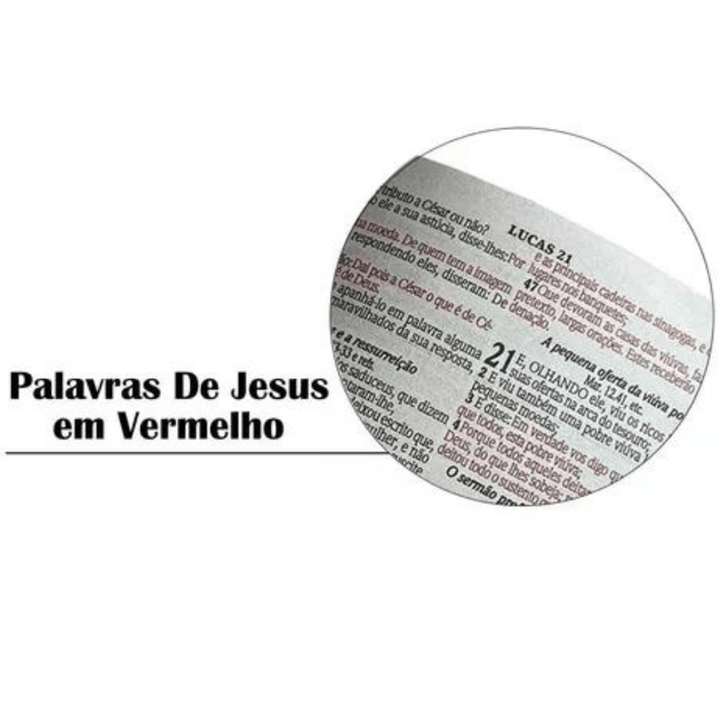 BIBLIA SAGRADA LETRA GIGANTE LUXO - PINK - COM HARPA - MULHER - RC - Livraria Zion