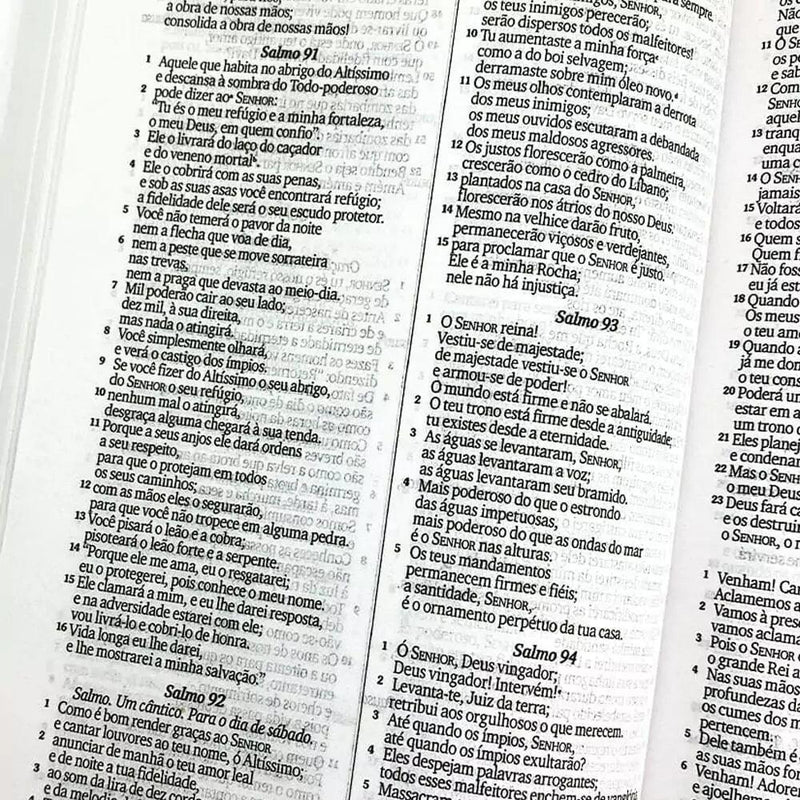 Bíblia Sagrada NVI Slim Capa Dura Leão Dourado - Livraria Zion